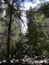 acr6apr04KL385.JPG (20513 bytes)